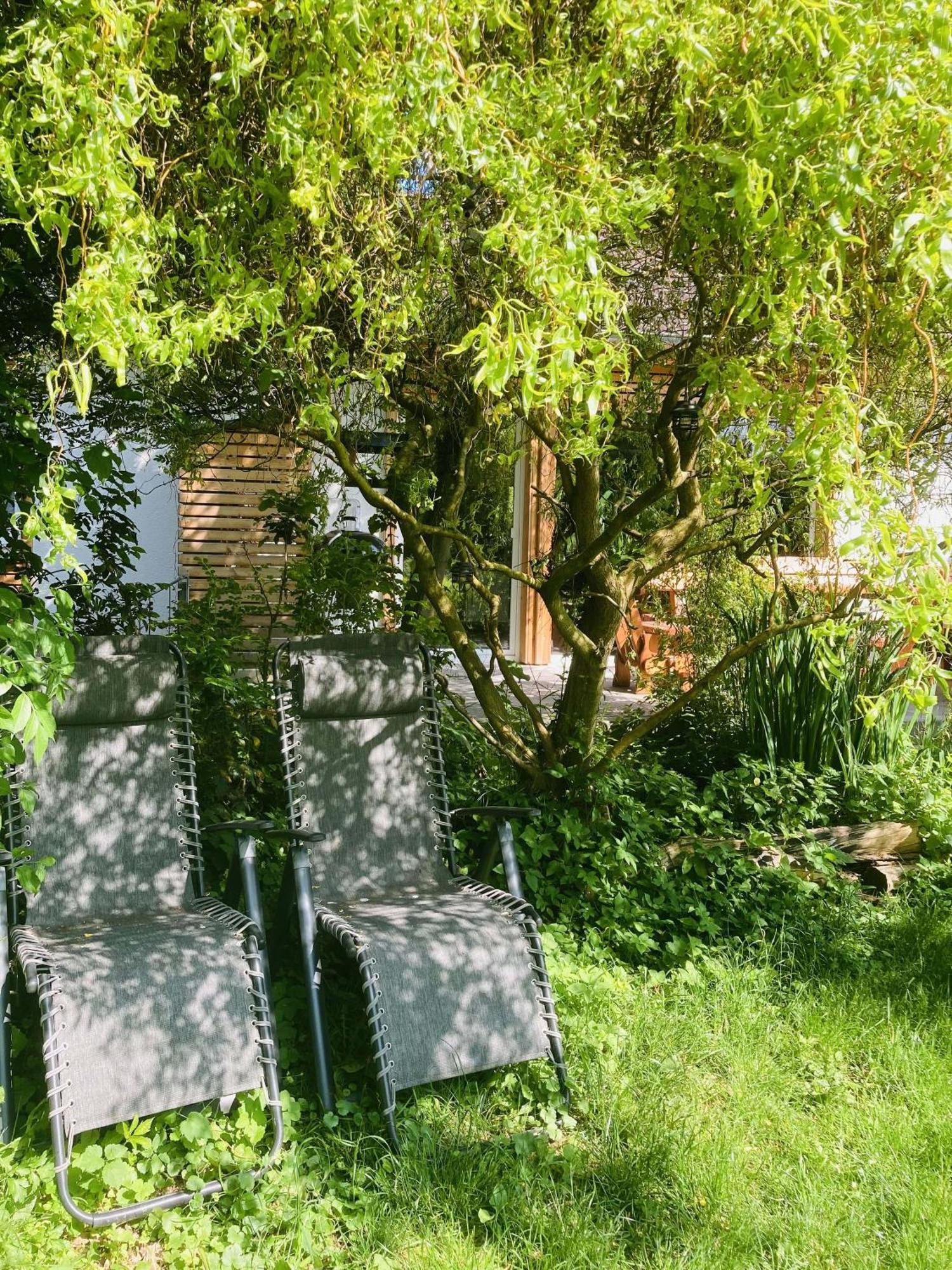 Ferienhaus Urwald Hofgeismar Eksteriør bilde