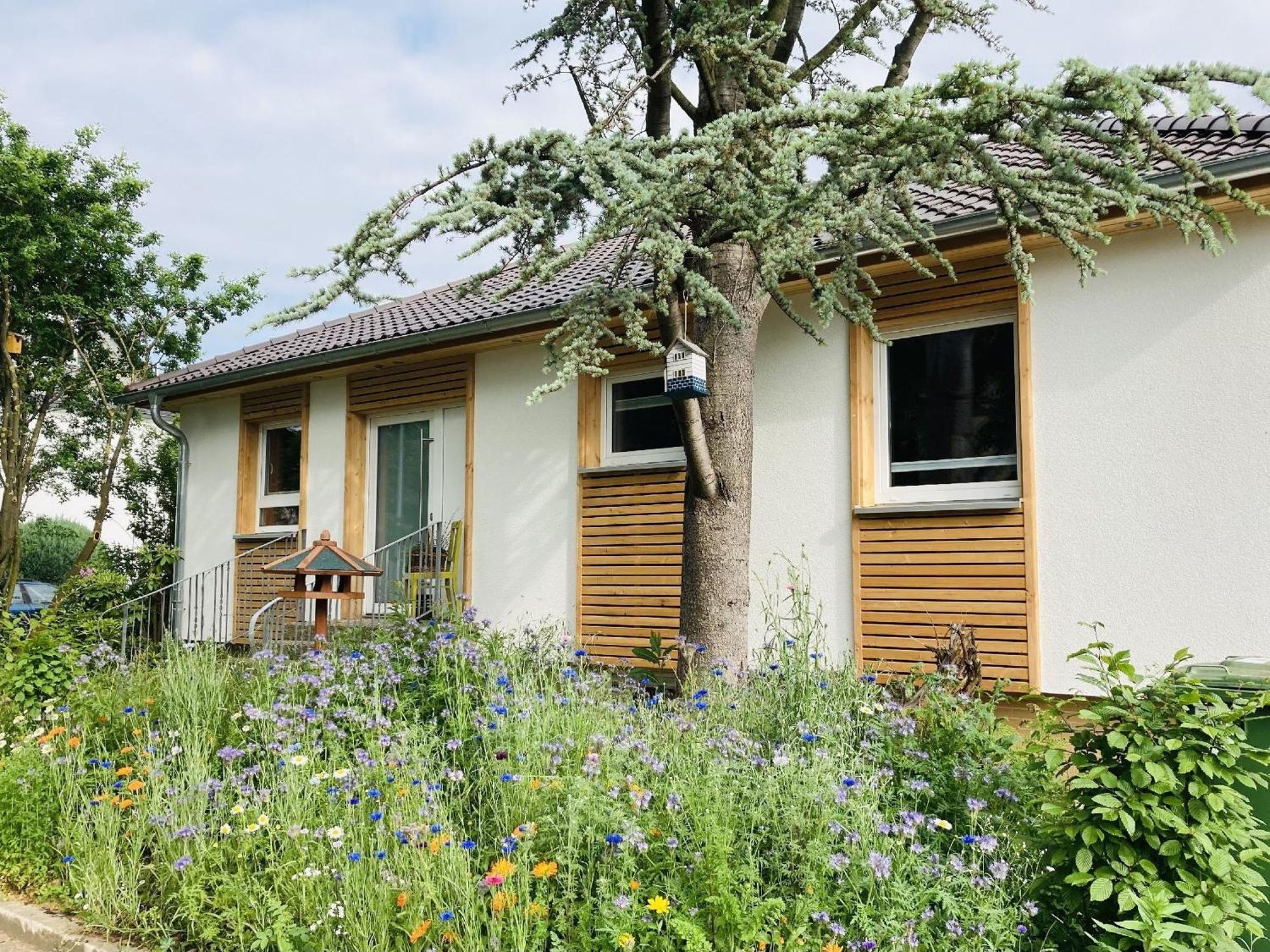 Ferienhaus Urwald Hofgeismar Eksteriør bilde